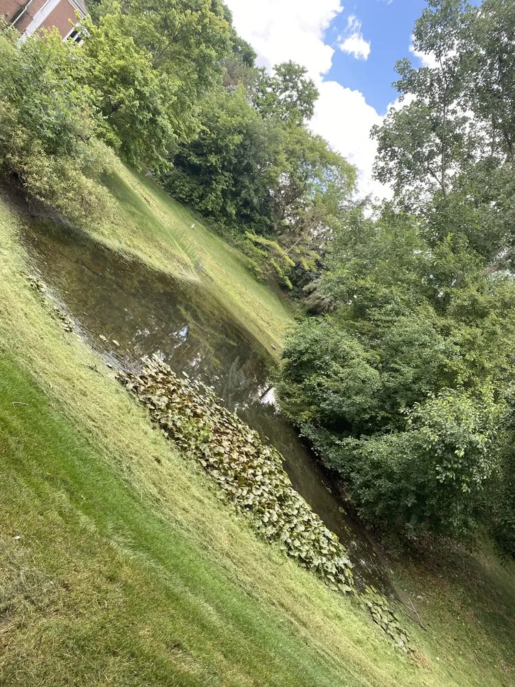 Trusted lawn mowing service in Clinton, MI - Brendon Shankland