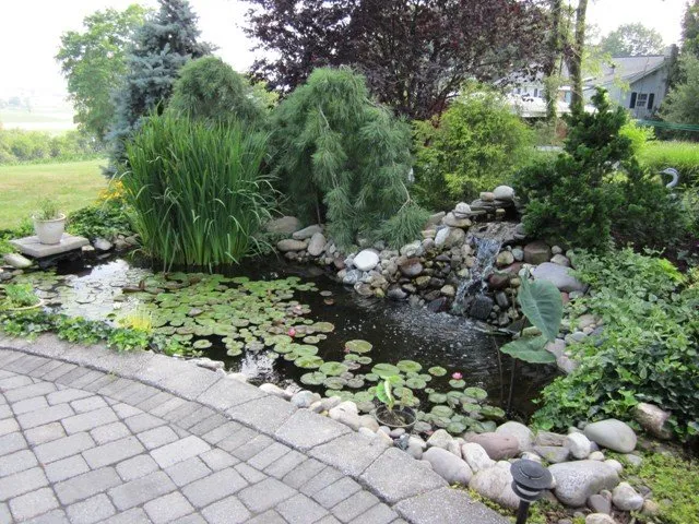 Expert yard maintenance in Reinholds, PA - Breneman's Landscaping