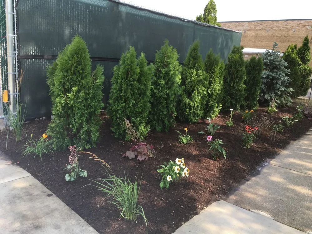 Affordable landscape installation with custom design in Des Plaines, IL by Brenes Landscaping