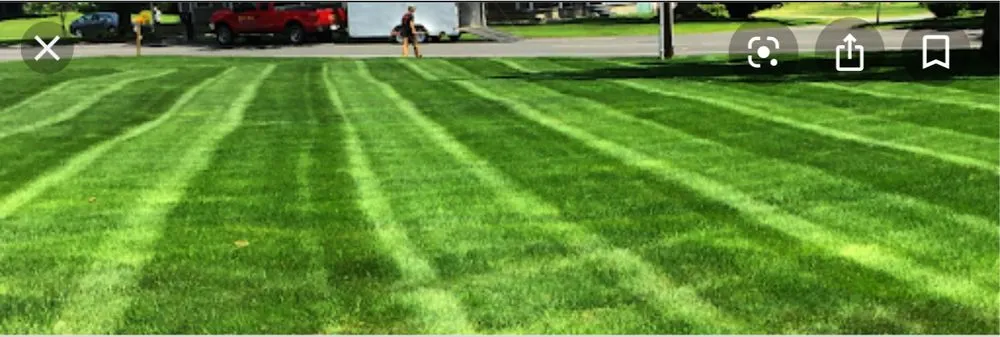 Top-rated garden landscaping in Des Plaines, IL - Brenes Landscaping