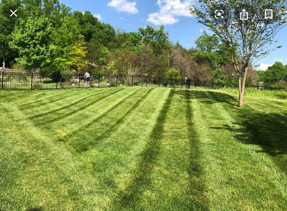 Custom yard cleanup service in Des Plaines, IL by Brenes Landscaping