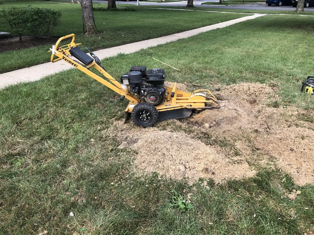 Local garden landscaping experts serving Des Plaines, IL - Brenes Landscaping