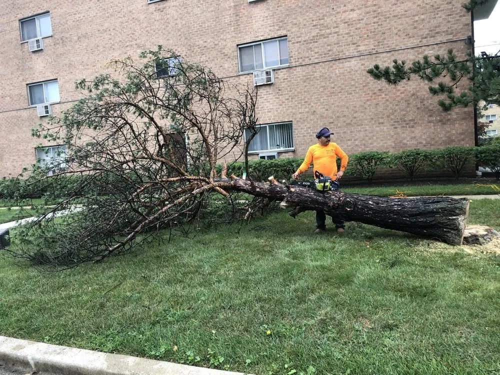 Reliable yard cleanup service for beautiful yards across Des Plaines, IL - Brenes Landscaping