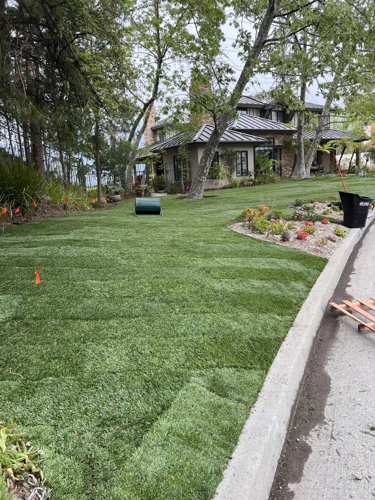 Reliable lawn care service experts serving San Fernando, CA - Brenes Landscaping