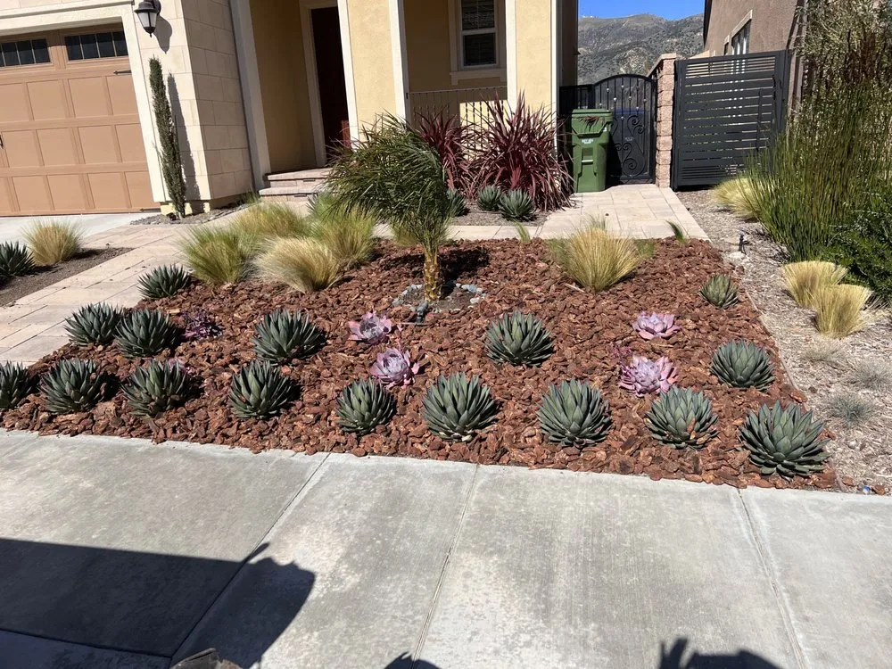 Professional outdoor landscaping in San Fernando, CA by Brenes Landscaping