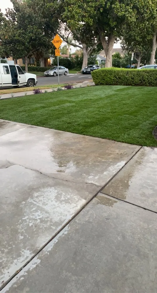 Local yard maintenance in San Fernando, CA by Brenes Landscaping