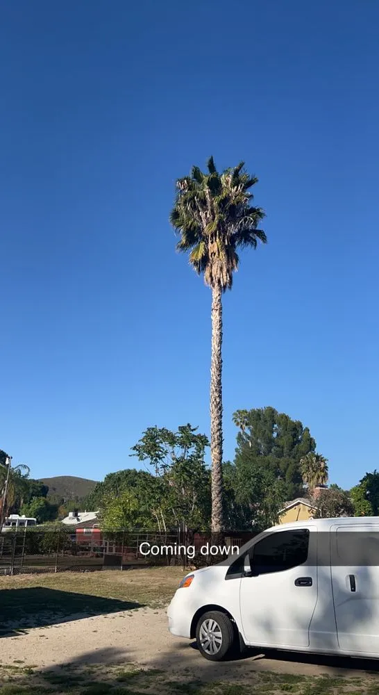 Custom lawn care service in San Fernando, CA - Brenes Landscaping