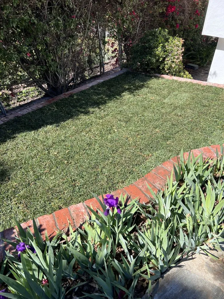 Professional lawn care service experts serving San Fernando, CA - Brenes Landscaping
