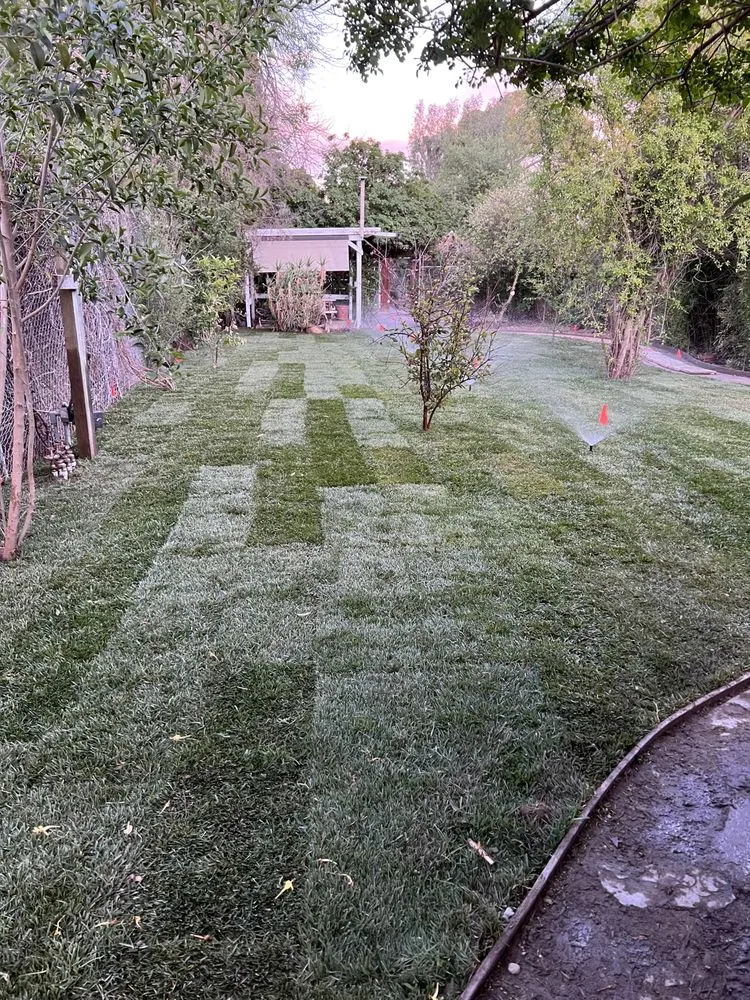 Expert lawn care service experts serving San Fernando, CA - Brenes Landscaping