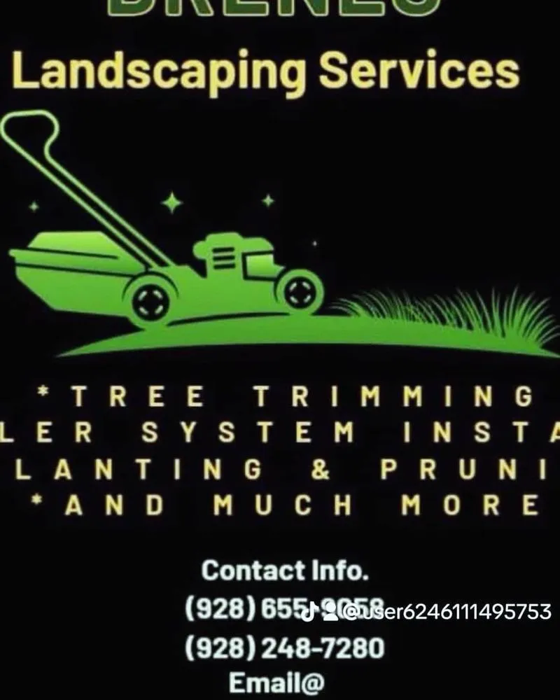 Professional landscape design in San Luis, AZ by Brenes Landscaping Service