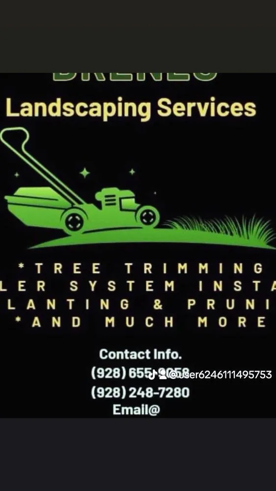 Reliable yard maintenance for homes in San Luis, AZ by Brenes Landscaping Service
