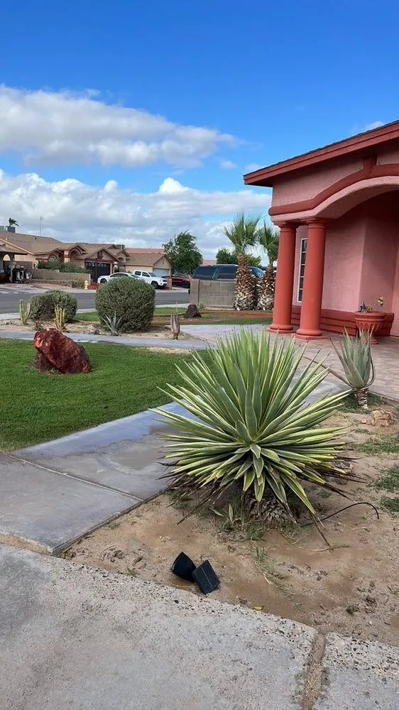 Local yard cleanup service experts serving San Luis, AZ - Brenes Landscaping Service