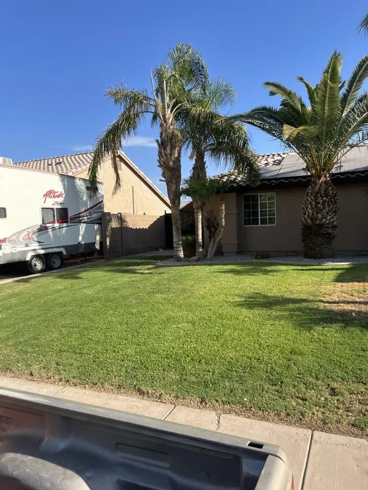 Top-rated yard cleanup service in San Luis, AZ - Brenes Landscaping Service