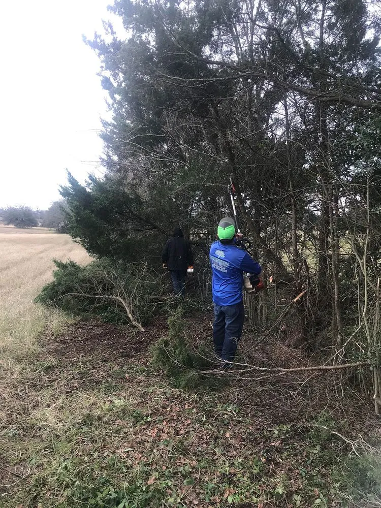 Custom yard cleanup service in Brenham, TX - Brenham Yard Pros