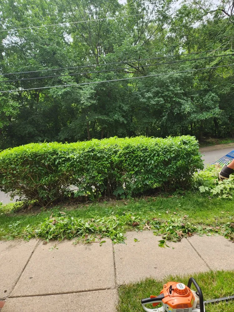 Top-rated residential landscaping in Dubuque, IA by Brenke's landscaping and Tree Remvel