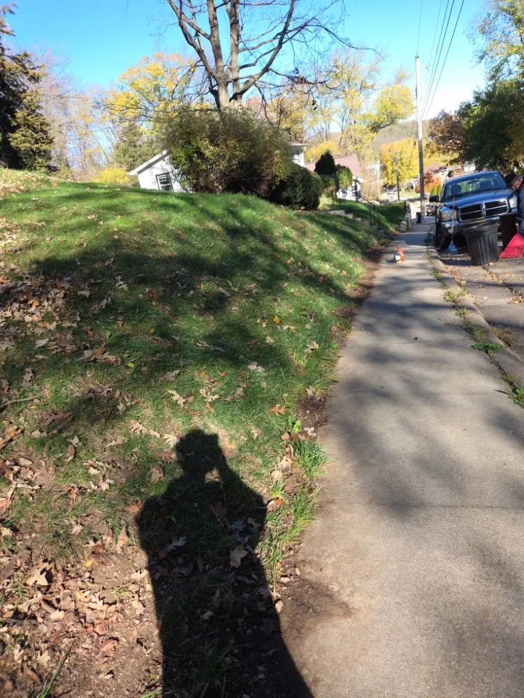 Affordable landscape installation for residential properties in Dubuque, IA by Brenke's landscaping and Tree Remvel