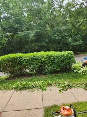 Brenke's landscaping and Tree Remvel Logo