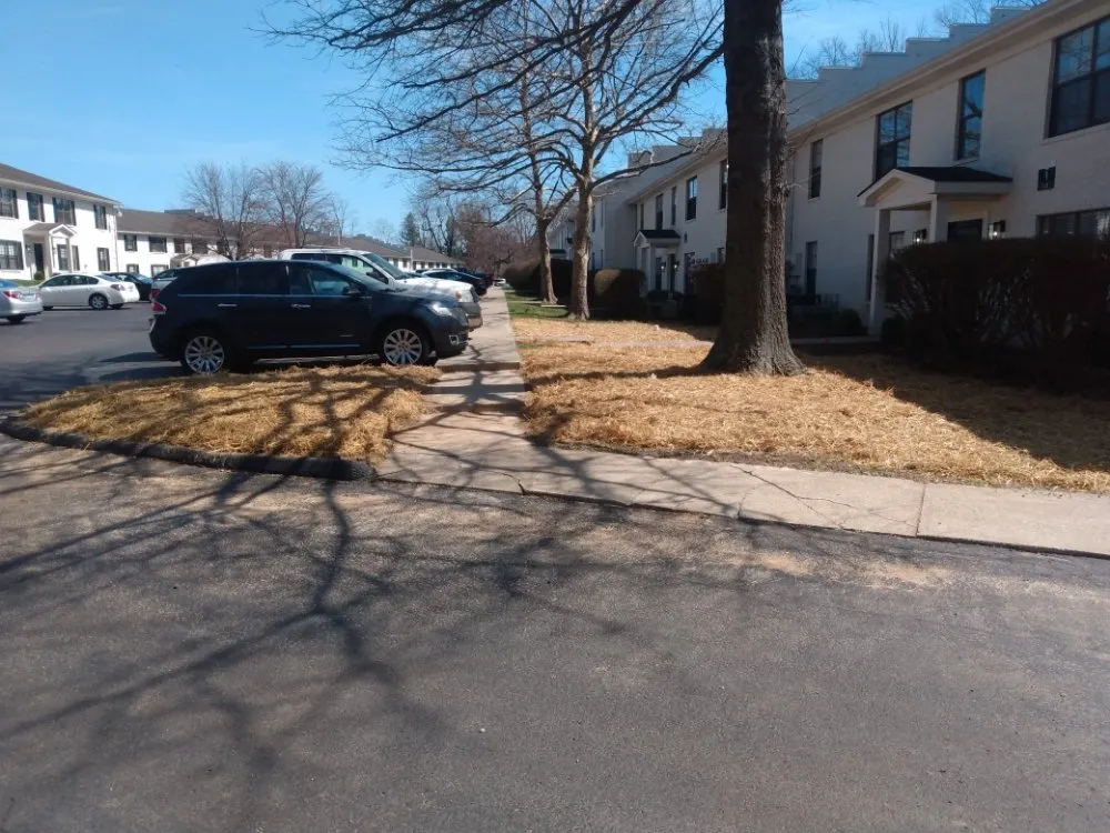 Trusted garden landscaping for homes across Lexington, KY - Brennan And Barham