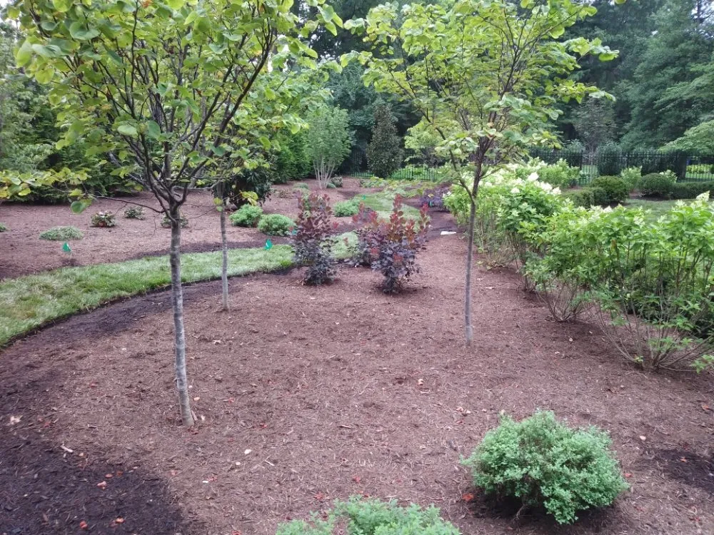 Professional garden landscaping in Lexington, KY by Brennan And Barham