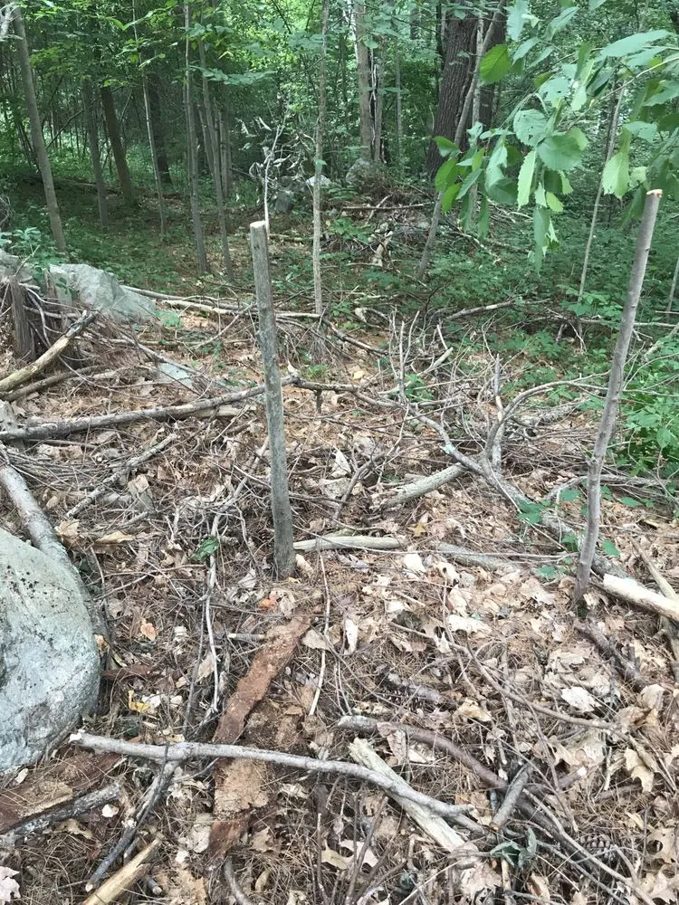 Custom landscape design for homes across Walpole, MA - Brennan Tree & Landscaping