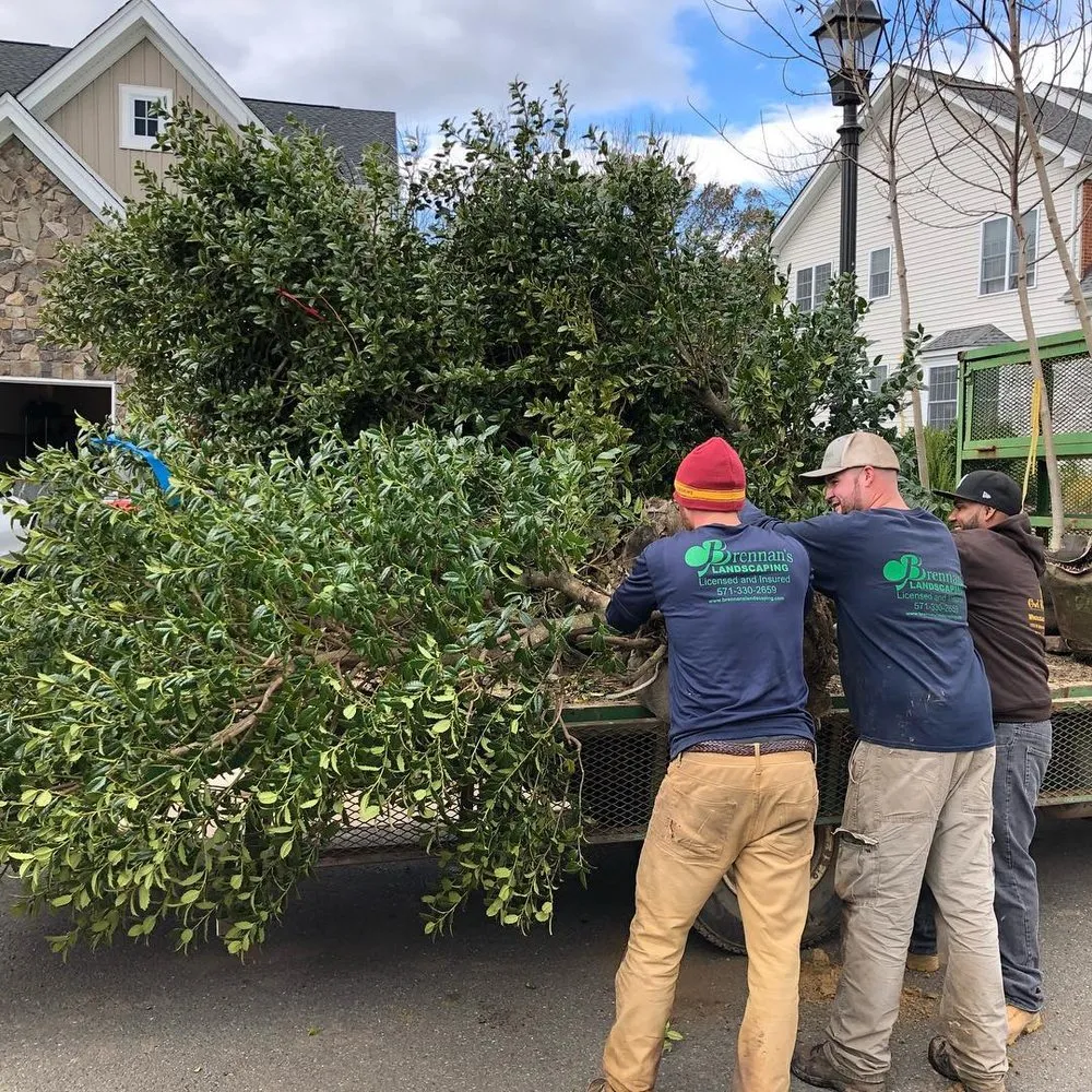 Affordable yard maintenance experts serving Nokesville, VA - Brennan's Landscaping