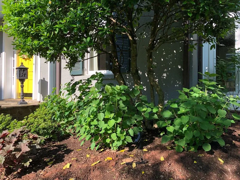 Reliable yard maintenance experts serving Nokesville, VA - Brennan's Landscaping