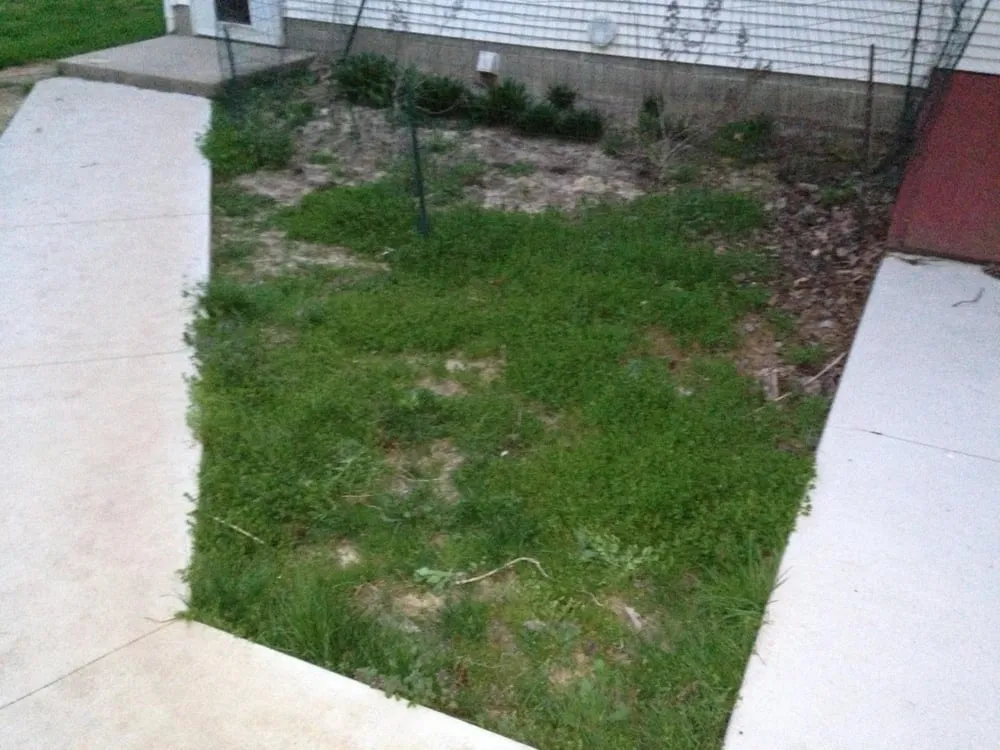 Local residential landscaping for residential properties in The Plains, OH by Brennan's Plants