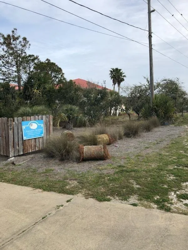 Professional landscaping services with custom design across Carrabelle, FL - Brennan's Pro Services