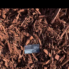 Affordable yard cleanup service in Valley Springs, CA by Brenner &Sons