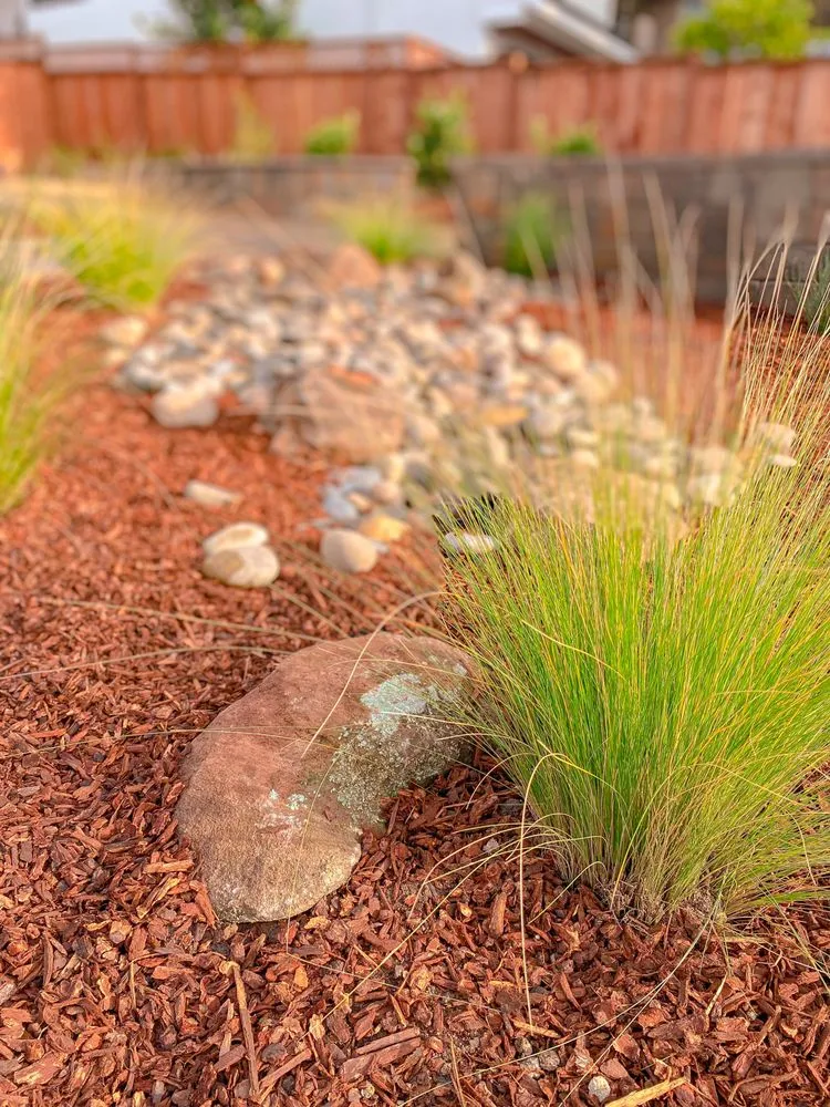 Trusted landscaping services for year-round maintenance in Redwood City, CA by Brent Landscaping