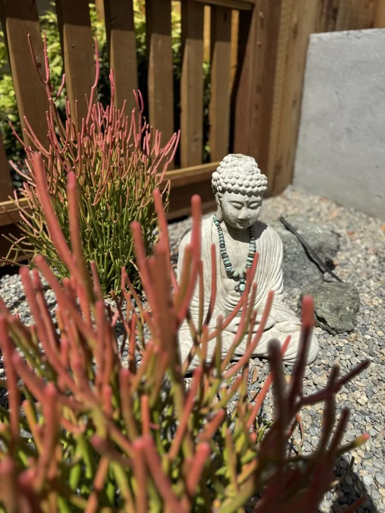 Trusted landscaping services for year-round maintenance across Redwood City, CA - Brent Landscaping