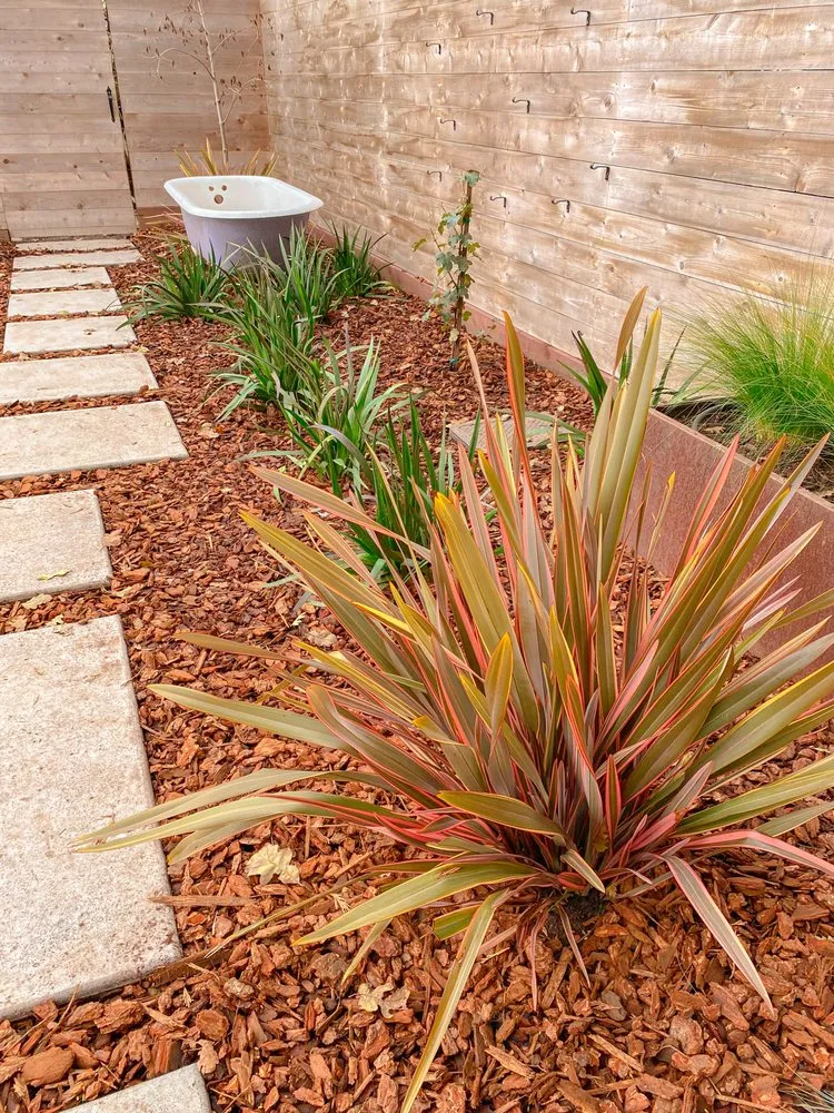 Reliable lawn care service for beautiful yards across Redwood City, CA - Brent Landscaping