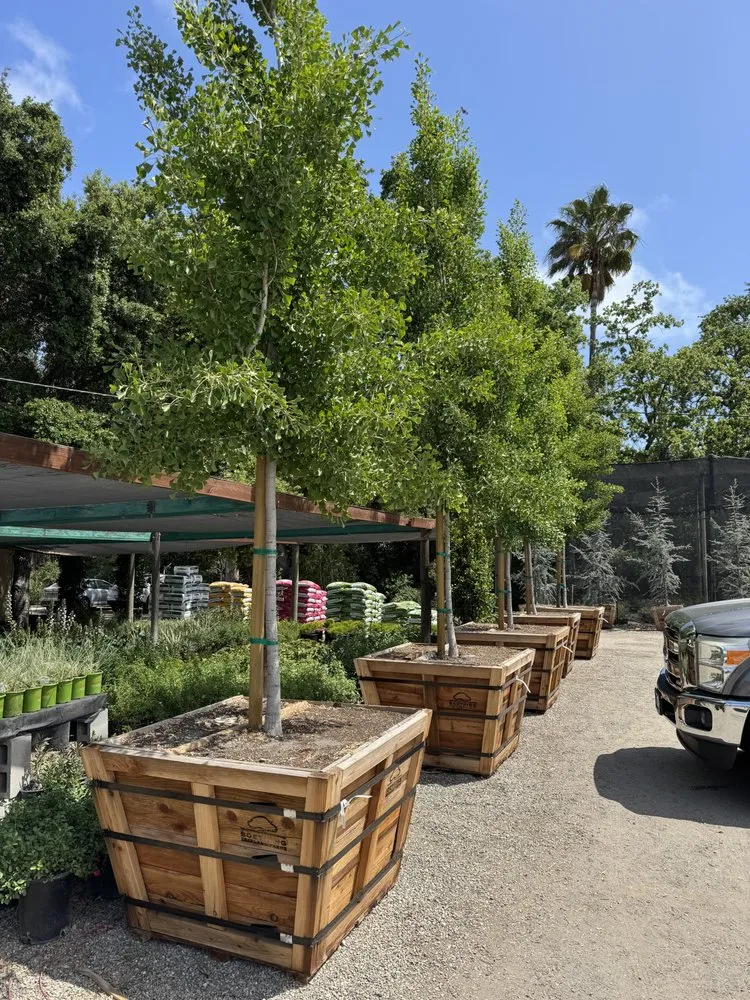 Professional landscape installation with custom design across Redwood City, CA - Brent Landscaping