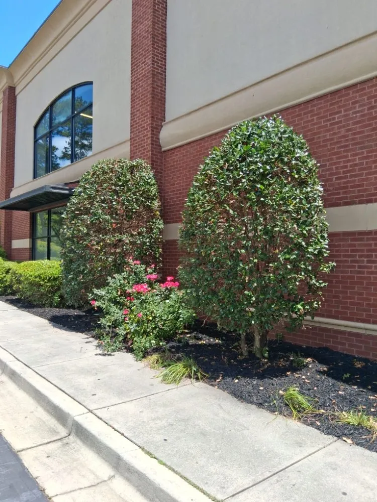 Reliable yard cleanup service for year-round maintenance across Peachtree City, GA - Brent Landscaping Services