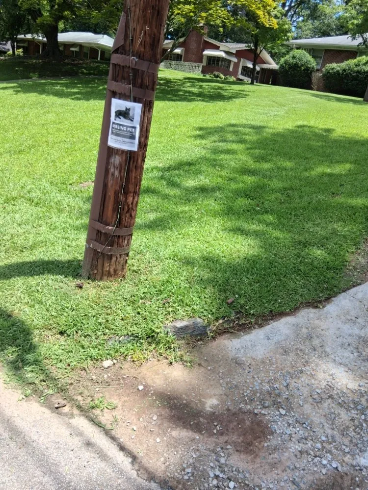 Expert lawn mowing service with custom design across Peachtree City, GA - Brent Landscaping Services