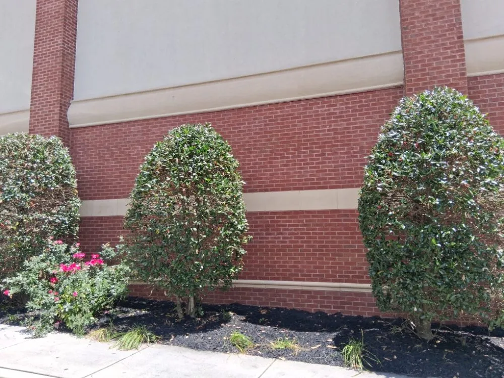 Affordable residential landscaping for year-round maintenance in Peachtree City, GA by Brent Landscaping Services