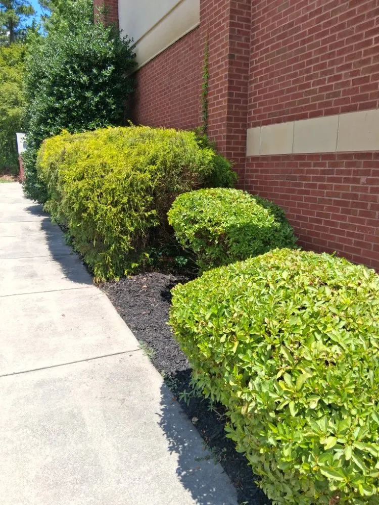 Top-rated lawn care service in Peachtree City, GA - Brent Landscaping Services