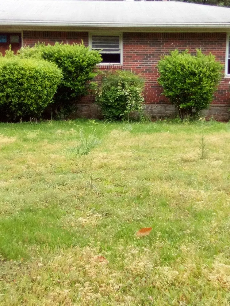 Affordable landscaping services experts serving Peachtree City, GA - Brent Landscaping Services