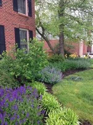 Brentwood Landscape & Design Logo