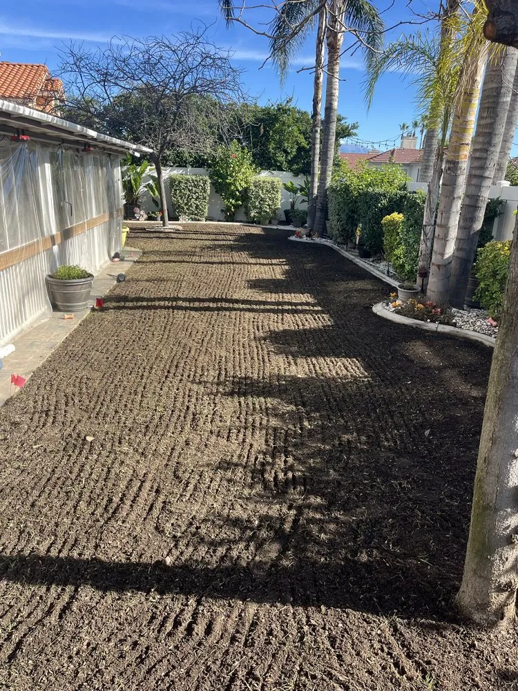 Affordable residential landscaping in Moreno Valley, CA - Brentwood Landscaping