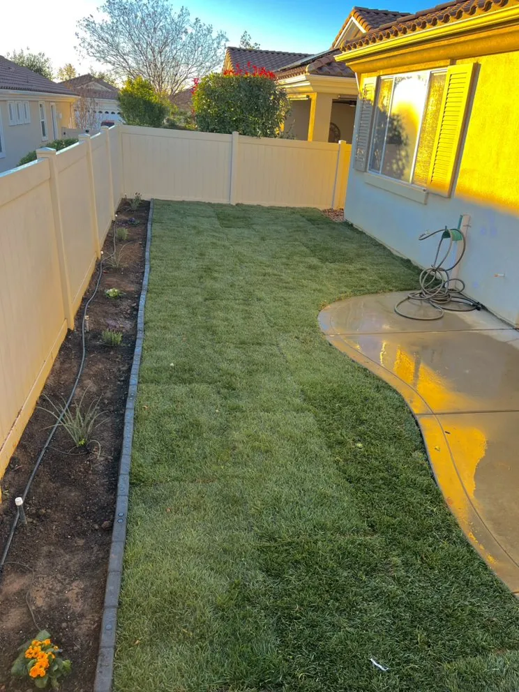 Top-rated lawn care service for residential properties across Moreno Valley, CA - Brentwood Landscaping