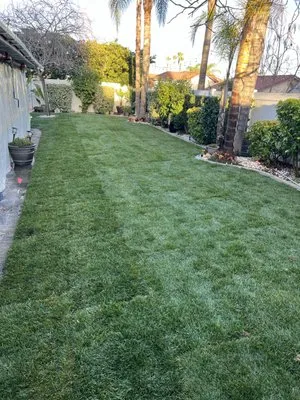 Brentwood Landscaping