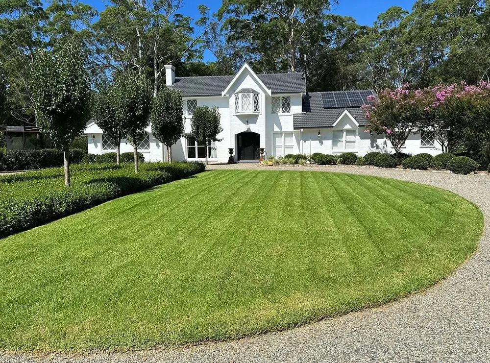 Local lawn care service experts serving Austin, TX - Brentwood Lawn Care