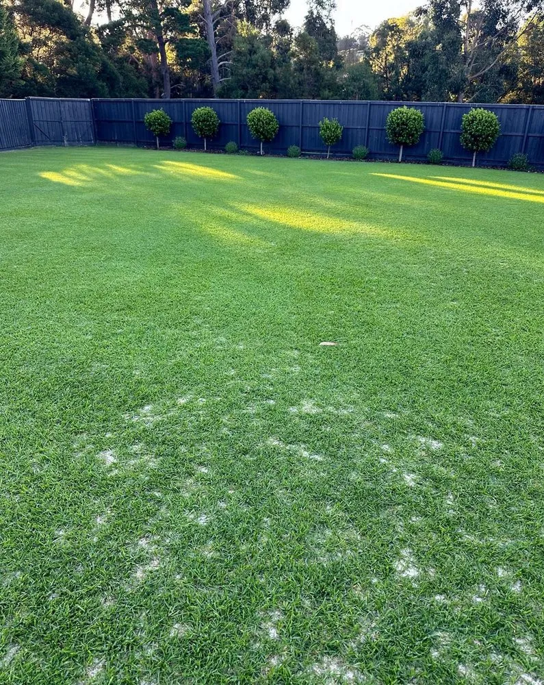 Affordable yard cleanup service with custom design across Austin, TX - Brentwood Lawn Care