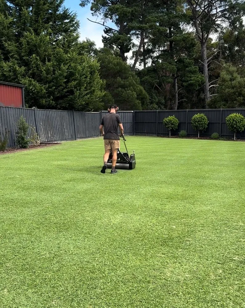 Affordable landscape design for year-round maintenance in Austin, TX by Brentwood Lawn Care