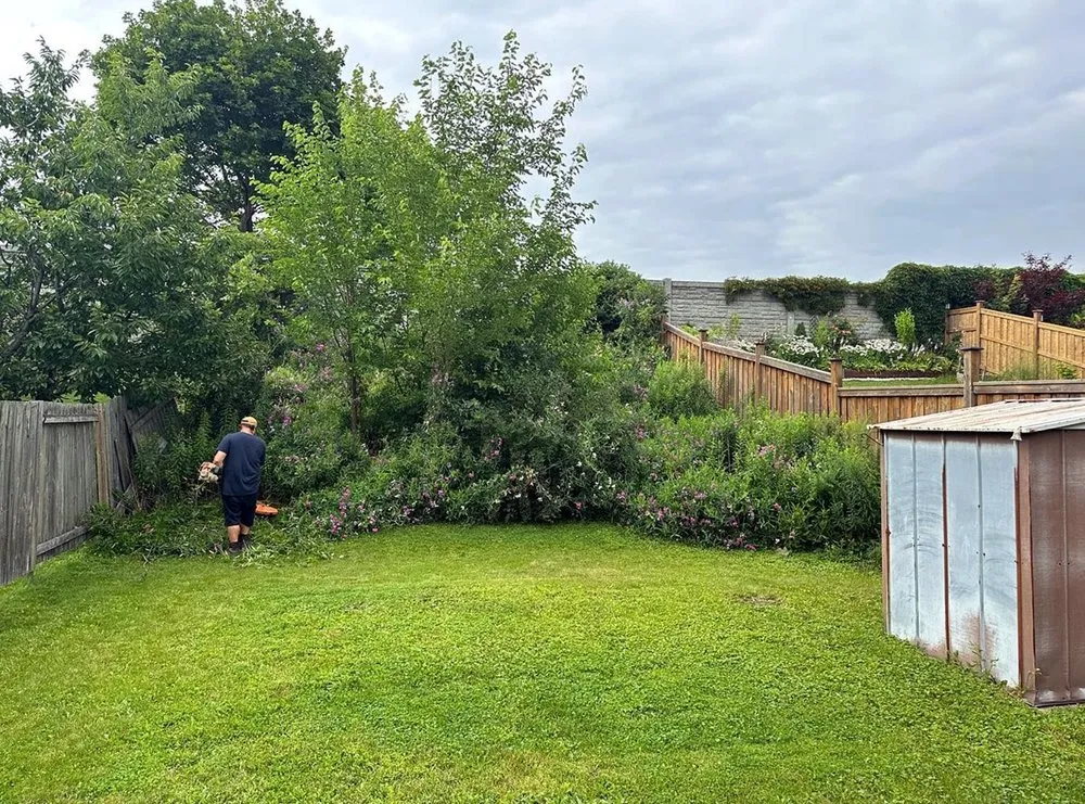 Professional residential landscaping experts serving Austin, TX - Brentwood Lawn Care