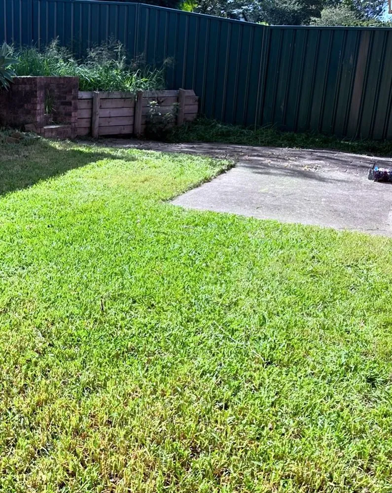 Trusted yard maintenance experts serving Austin, TX - Brentwood Lawn Care