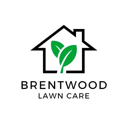 Trusted outdoor landscaping in Austin, TX by Brentwood Lawn Care