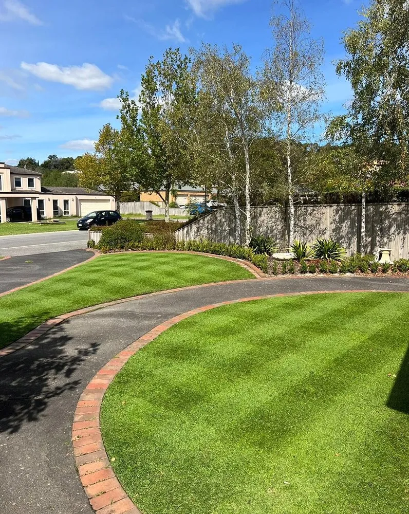 Reliable yard cleanup service experts serving Austin, TX - Brentwood Lawn Care