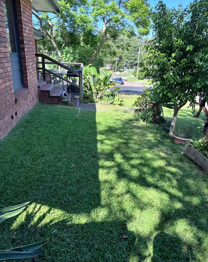 Professional landscape design for homes in Austin, TX by Brentwood Lawn Care